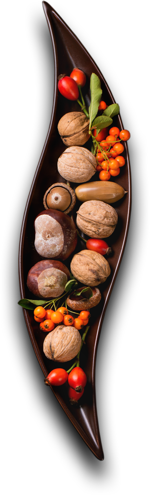 Nimit Palace - Restaurant & Catering HTML Template