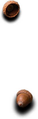 Nimit Palace - Restaurant & Catering HTML Template